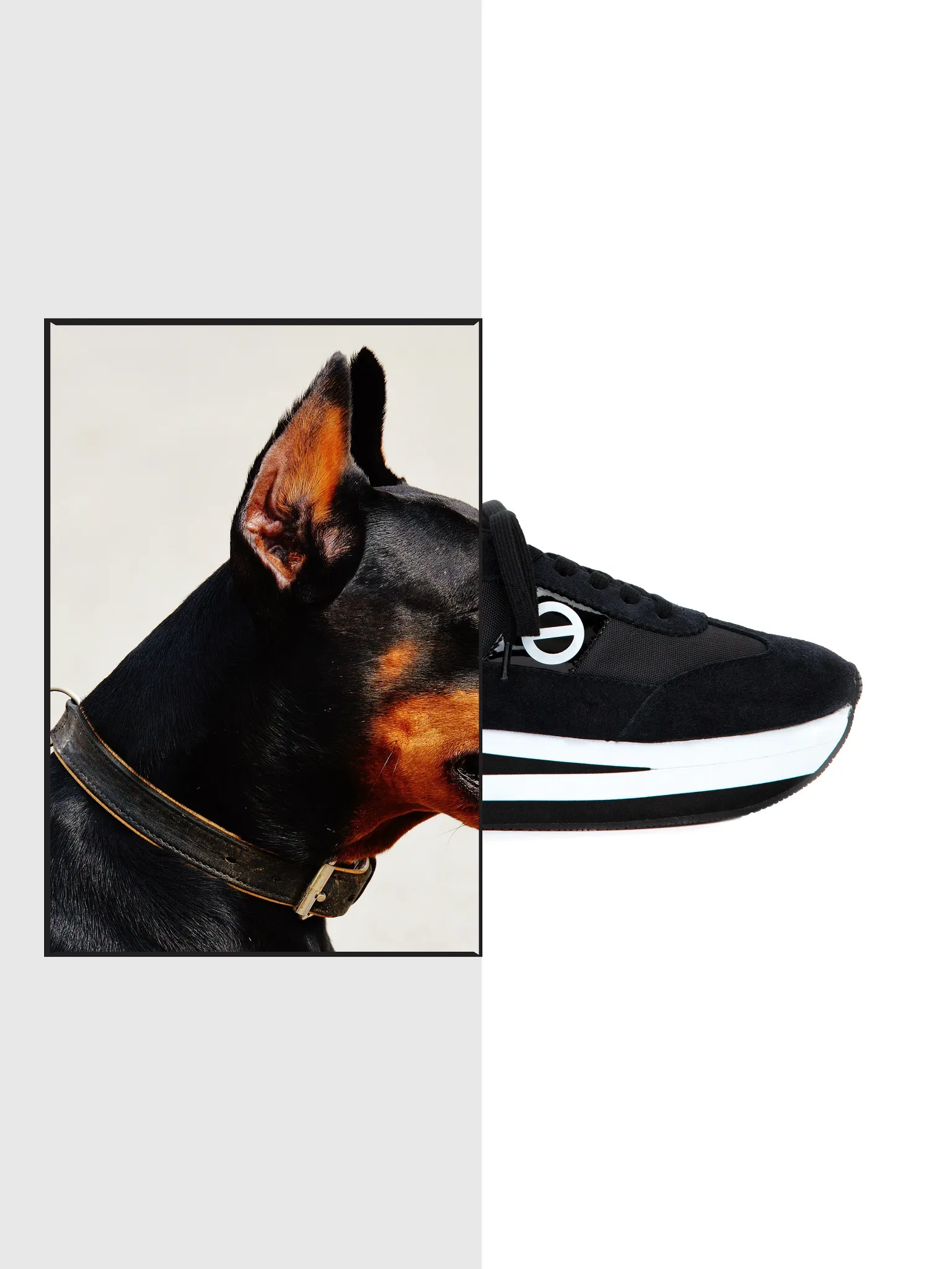 Visuel d’Emir Shiro pour No Name associant un portrait de chien et une sneaker noire
